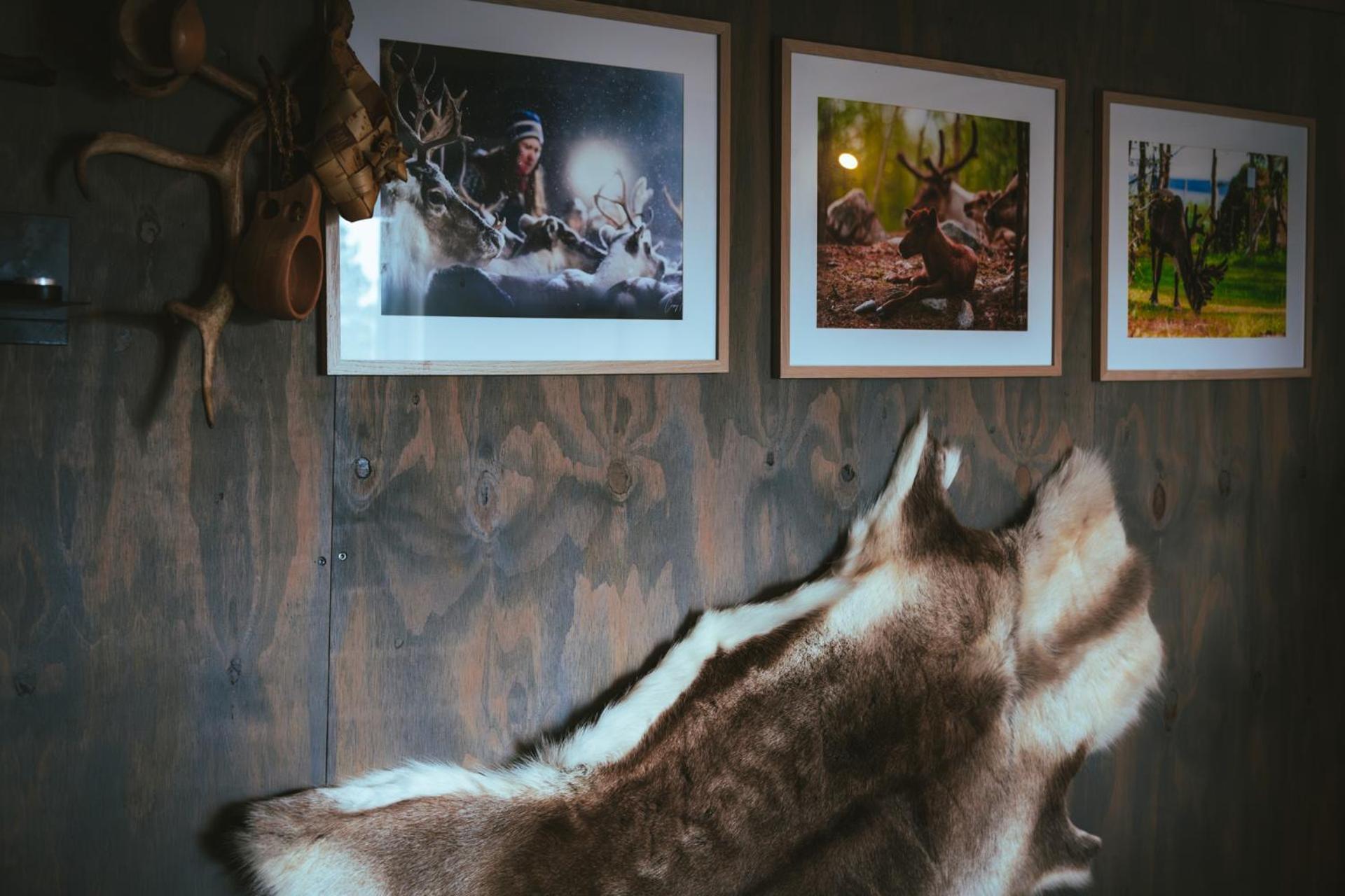 Reindeer Lodge Jukkasjärvi 外观 照片